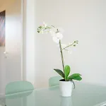 Certosa - Bright & Modern - 2 Steps From Train Station By Innstay * Milano